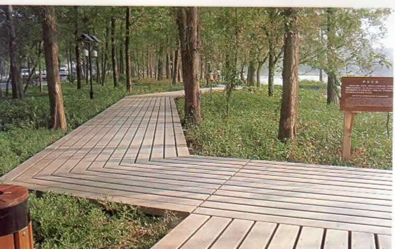 地板棧道